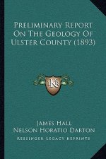 Preliminary Report On The Geology Of Ulster County (1893)