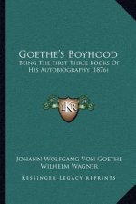 Goethe's Boyhood: Being The First Three Books Of His Autobiography (1876)