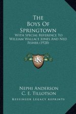 The Boys Of Springtown: With Special Reference To William Wallace Jones And Ned Fisher (1920)