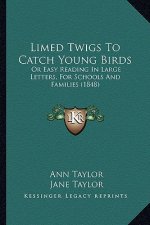 Limed Twigs To Catch Young Birds: Or Easy Reading In Large Letters, For Schools And Families (1848)