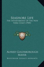 Seashore Life: The Invertebrates Of The New York Coast (1905)