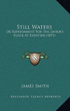 Still Waters: Or Refreshment For The Savior's Flock At Eventide (1871)