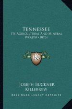 Tennessee: Its Agricultural And Mineral Wealth (1876)