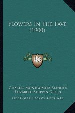 Flowers In The Pave (1900)