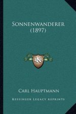 Sonnenwanderer (1897)