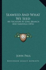 Seaweed And What We Seed: My Vacation At Long Branch And Saratoga (1876)