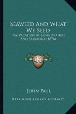 Seaweed And What We Seed: My Vacation At Long Branch And Saratoga (1876)