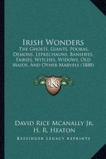 Irish Wonders: The Ghosts, Giants, Pookas, Demons, Leprechauns, Banshees, Fairies, Witches, Widows, Old Maids, And Other Marvels (188