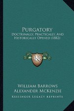 Purgatory: Doctrinally, Practically, And Historically Opened (1882)
