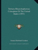 Tertiary Rhynchophorous Coleoptera Of The United States (1893)