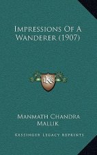 Impressions Of A Wanderer (1907)