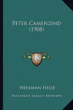 Peter Camenzind (1908)