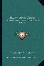 Slow And Sure: Or From The Street To The Shop (1872)