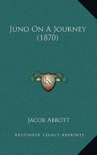 Juno On A Journey (1870)