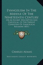 Evangelism In The Middle Of The Nineteenth Century: Or An Exhibit, Descriptive And Statistical, Of The Present Condition Of Evangelical Religion (1851