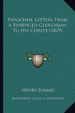 Parochial Letters From A Beneficed Clergyman To His Curate (1829)