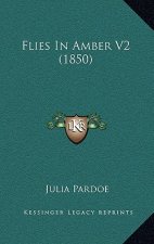 Flies In Amber V2 (1850)