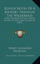 Rough Notes Of A Journey Through The Wilderness: From Trinidad To Para, Brazil, By Way Of The Great Cataracts (1872)