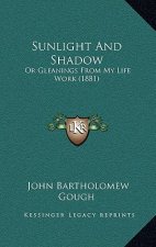 Sunlight And Shadow: Or Gleanings From My Life Work (1881)