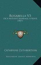 Rosabella V3: Or A Mother's Marriage, A Novel (1817)