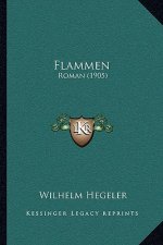Flammen: Roman (1905)