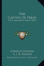 The Captive Of Pekin: Or A Swallow's Wing (1897)