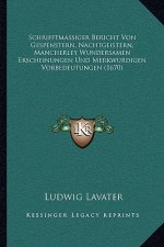 Schrifftmassiger Bericht Von Gespenstern, Nachtgeistern, Mancherley Wundersamen Erscheinungen Und Merkwurdigen Vorbedeutungen (1670)