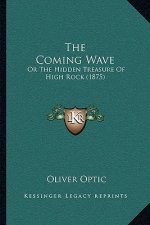 The Coming Wave: Or The Hidden Treasure Of High Rock (1875)