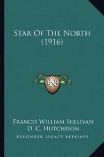 Star Of The North (1916)