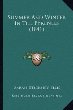 Summer And Winter In The Pyrenees (1841)