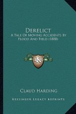 Derelict: A Tale Of Moving Accidents By Flood And Field (1888)