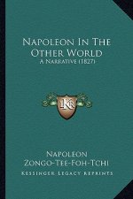 Napoleon In The Other World: A Narrative (1827)