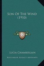 Son Of The Wind (1910)