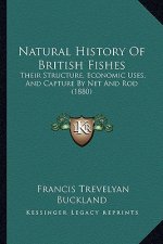 Natural History Of British Fishes: Their Structure, Economic Uses, And Capture By Net And Rod (1880)