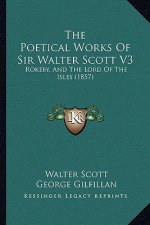 The Poetical Works of Sir Walter Scott V3: Rokeby, and the Lord of the Isles (1857)