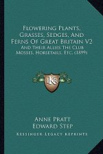 Flowering Plants, Grasses, Sedges, And Ferns Of Great Britain V2: And Their Allies The Club Mosses, Horsetails, Etc. (1899)