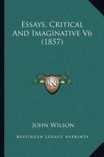 Essays, Critical And Imaginative V6 (1857)