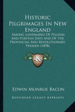 Historic Pilgrimages In New England: Among Landmarks Of Pilgrim And Puritan Days And Of The Provincial And Revolutionary Periods (1898)