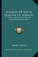 Sources Of Joy In Seasons Of Sorrow: With Other Helps On The Heavenward Way (1871)