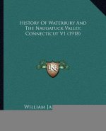History Of Waterbury And The Naugatuck Valley, Connecticut V1 (1918)