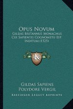 Opus Novum: Gildas Britannus Monachus Cui Sapientis Cognometu Est Inditum (1525)