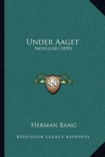 Under Aaget: Noveller (1890)