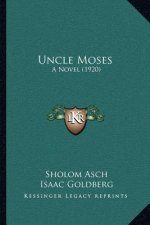 Uncle Moses: A Novel (1920)