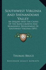 Southwest Virginia And Shenandoah Valley: An Inquiry Into The Causes Of The Rapid Growth And Wonderful Development Of Southwest Virginia (1891)
