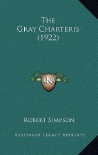 The Gray Charteris (1922)