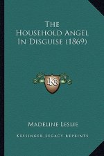 The Household Angel In Disguise (1869)