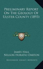 Preliminary Report On The Geology Of Ulster County (1893)