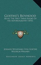 Goethe's Boyhood: Being The First Three Books Of His Autobiography (1876)