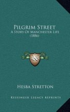 Pilgrim Street: A Story Of Manchester Life (1886)