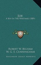 Joe: A Boy In The Wartimes (1889)